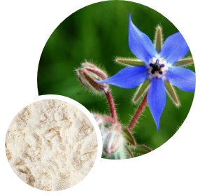 Phosphovega organic borage